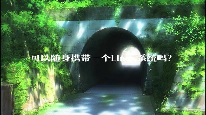 可以随身携带一个Linux系统吗？