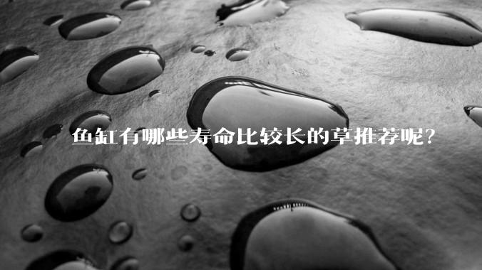 鱼缸有哪些寿命比较长的草推荐呢？