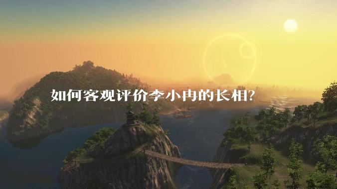 如何客观评价李小冉的长相？