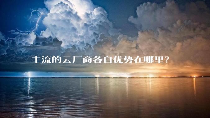 主流的云厂商各自优势在哪里？