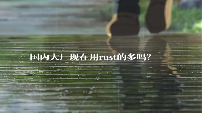 国内大厂现在用rust的多吗？
